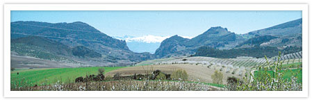  Alcala la Real Ja�n