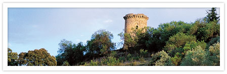 Por la Ruta del Califato